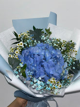 Load image into Gallery viewer, Ocean Breeze Hydrangea
