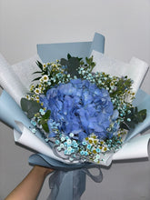 Load image into Gallery viewer, Ocean Breeze Hydrangea

